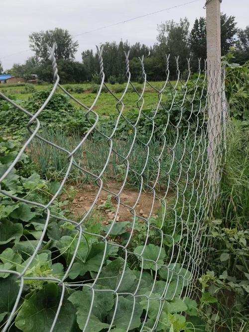 养殖勾花网五大实用案例 从家禽到牲畜，总有一款适合你